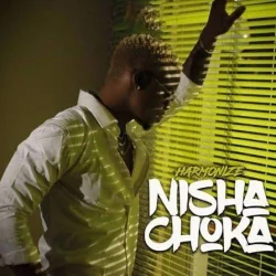 Harmonize - Harmonize _ Nishachoka | Yingamedia.Com