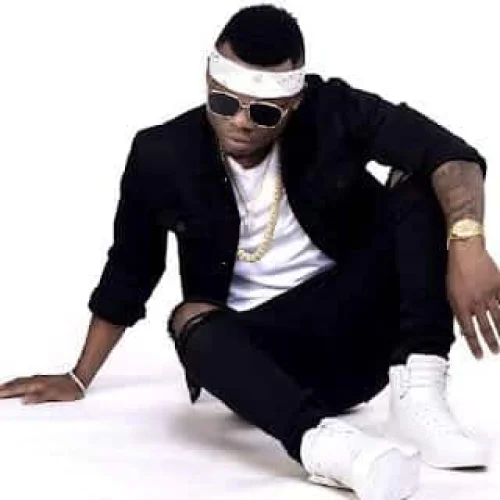 Harmonize - Kasuku
