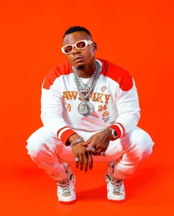 Harmonize - Mama Anajenga