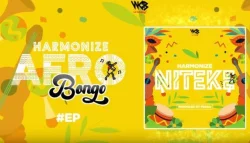 Harmonize - Niteke