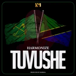 Harmonize - Tuvushe