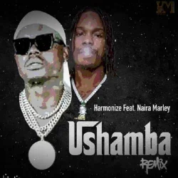 Harmonize - Ushamba (Remix)