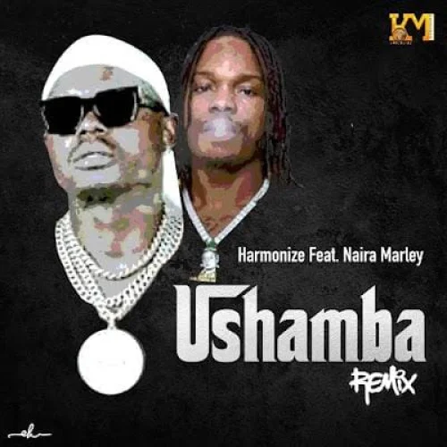 Harmonize - Ushamba Remix (feat. Naira Marley)