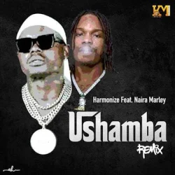 Harmonize - Ushamba Remix (feat. Naira Marley)