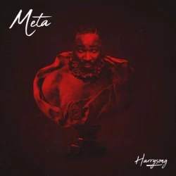 Harrysong - Meta