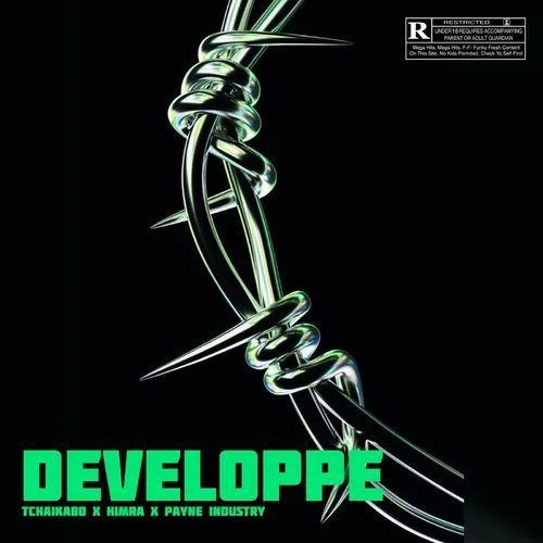 Himra - Developpe (feat. Payne Industry)