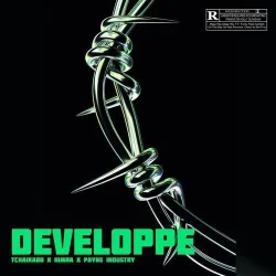Himra - Developpe (feat. Payne Industry)