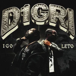 IGO - D1GRI (feat. Leto)