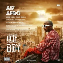 Ice Boy - Ufunguo