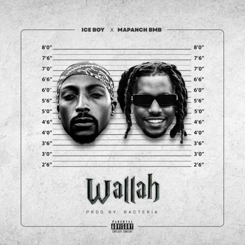 Ice Boy - Wallah (feat. Mapanch BMB)