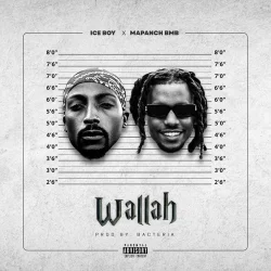 Ice Boy - Wallah (feat. Mapanch BMB)
