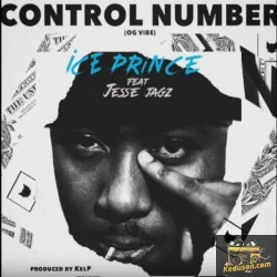 Ice Prince - Control Number
