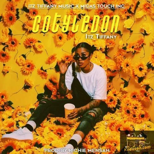 Itz Tiffany - Cotyledon