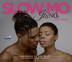 JZyNo - Slow Mo (feat. Naa Norley)
