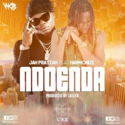 Jah Prayzah - Ndoenda Newe