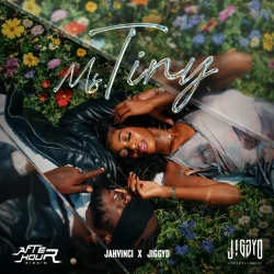Jah Vinci - Ms.Tiny (feat. Jiggy D)