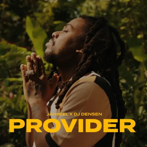 Jahmiel - Provider (feat. DJ Densen)