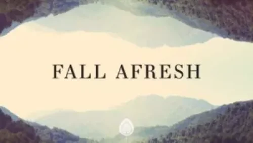 Jeremy Riddle - Fall Afresh