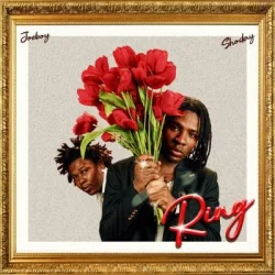 Joeboy - Ring (feat. Shoday)