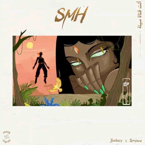 Joeboy - SMH (feat. Tempoe)