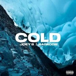 Joey B - Cold (feat. Sarkodie)