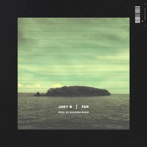 Joey B - Far