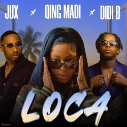Jux Ft Qing Madi - LOCA (feat. Didi B)