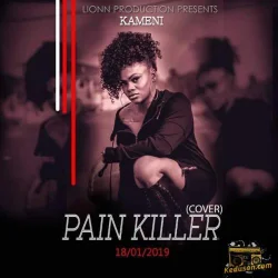 Kameni - Pain Killer Cover (Sarkodie