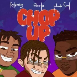 Kashcoming - Chop Up (feat. Wande Coal)