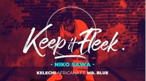 Kelechi Africana - Niko Sawa (feat. Mr Blue)