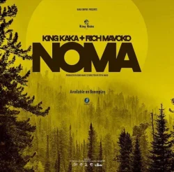 King Kaka - Noma (feat. Rich Mavoko)