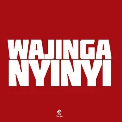 King Kaka - Wajinga Nyinyi