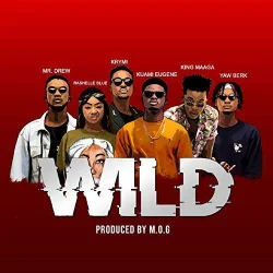 King Maaga - Wild (feat. Yaw Berk, Rashelle Blue, Mr Drew, Krymi & Kuami Eugene)