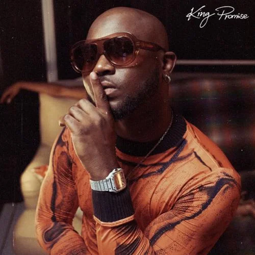 King Promise - Perfect Combi