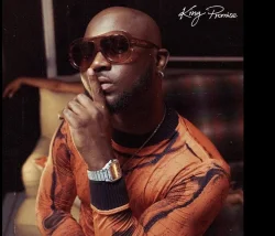 King Promise - Perfect Combi (feat. Gabzy)