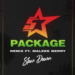 King Promise - Slow Down (Remix)