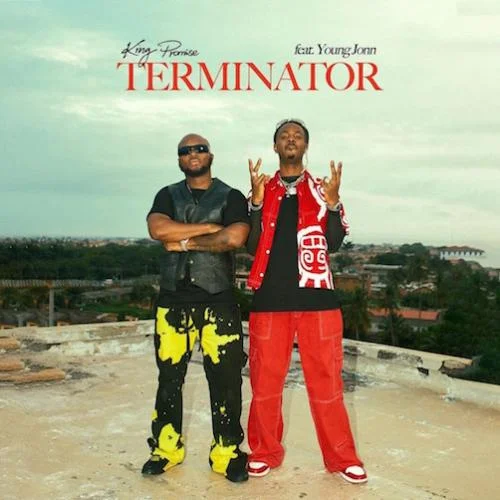 King Promise - Terminator - Remix