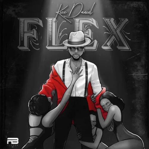 Kizz Daniel - Flex