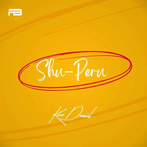 Kizz Daniel - Shu Peru