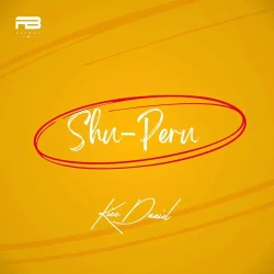 Kizz Daniel - Shu Peru