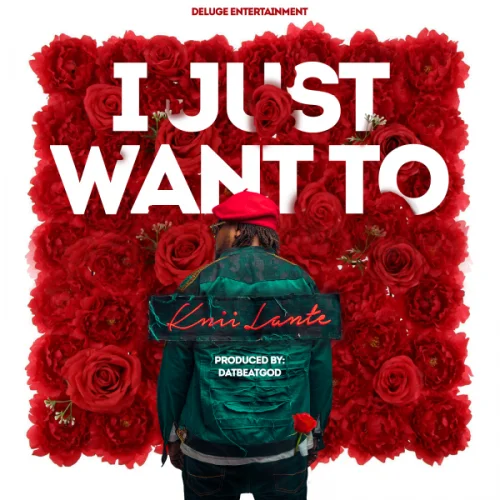 Knii Lante - I Just Want To