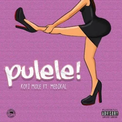 Kofi Mole - Pulele