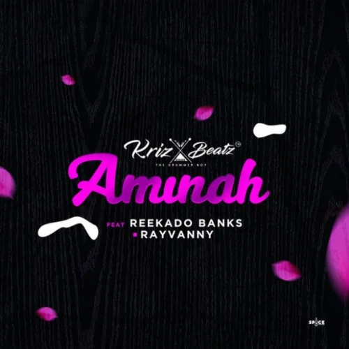 Krizbeatz - Aminah (feat. Reekado Banks & Rayvanny)