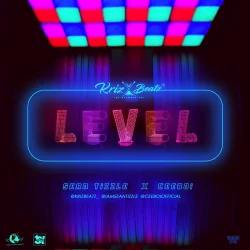 Krizbeatz - LeveL (feat. CeeBoi & SeanTizzle)