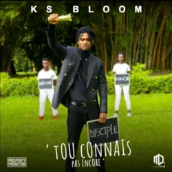 Ks Bloom - Tou Connais Pas Encore