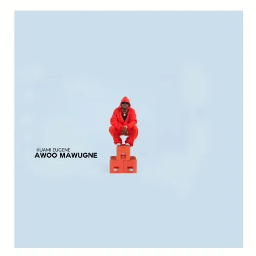 Kuami Eugene - Awoo Mawugne