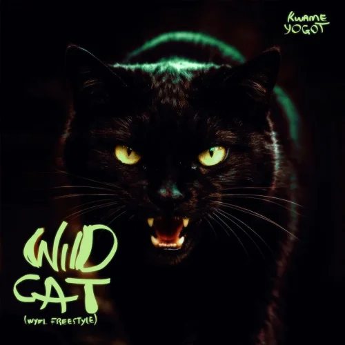 Kwame Yogot - Wildcat (WYFL Riddim)