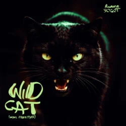 Kwame Yogot - Wildcat (WYFL Riddim)