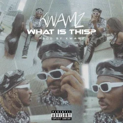 Kwamz - What Is This