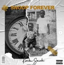 Kweku Smoke - Ayalolo (feat. Dammy Krane)